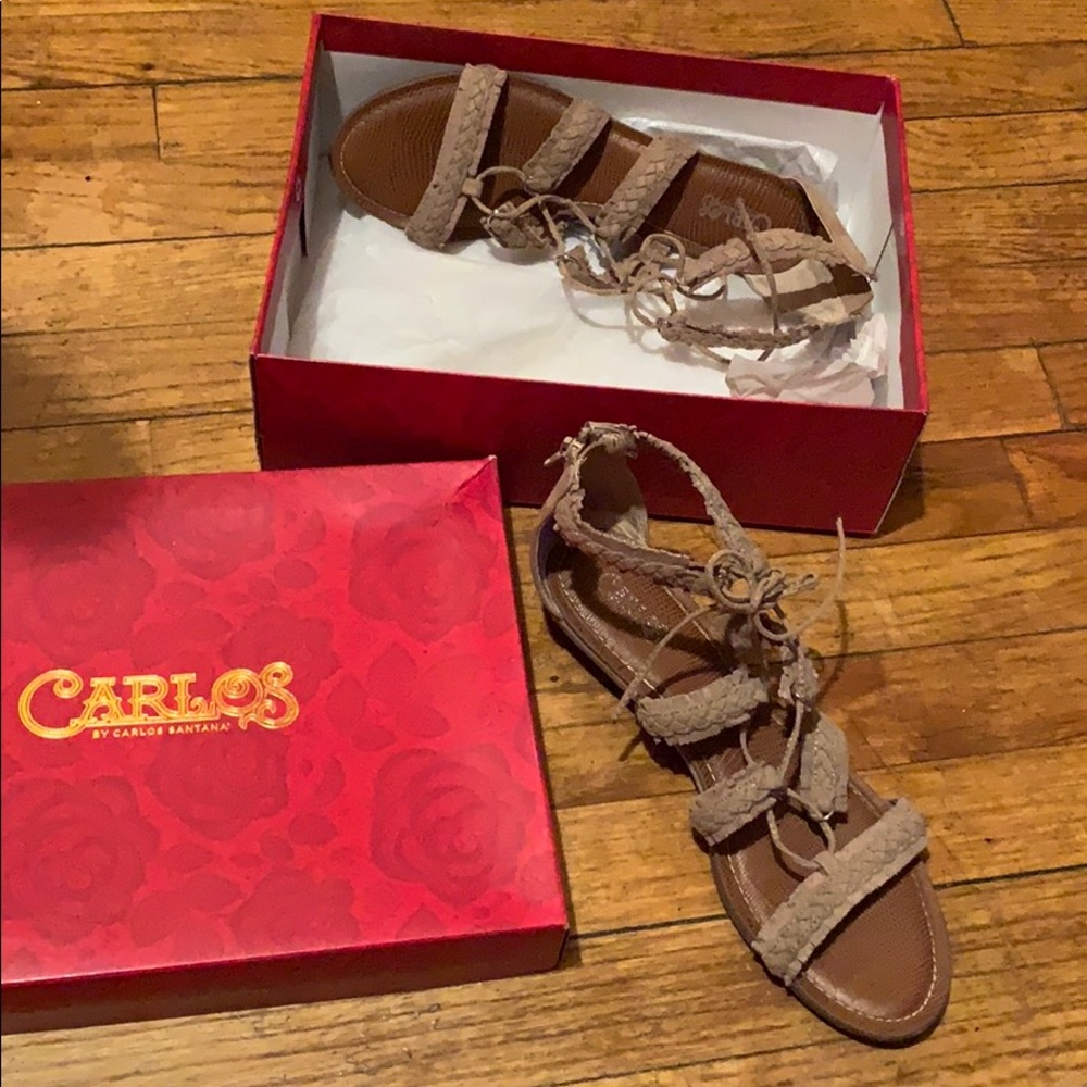 Carlos santana flats